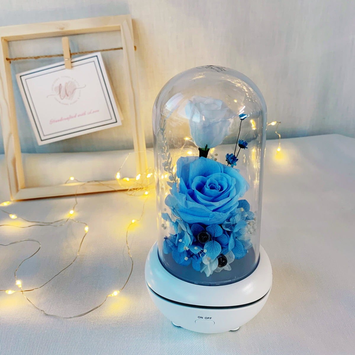 Essential Oil Diffuser Baby Blue Ladyblooms Floral & Gifts