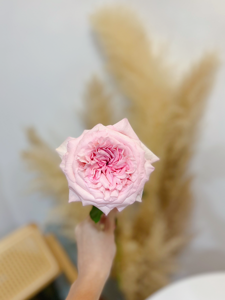 99 Roses Bouquet - Pink Affection