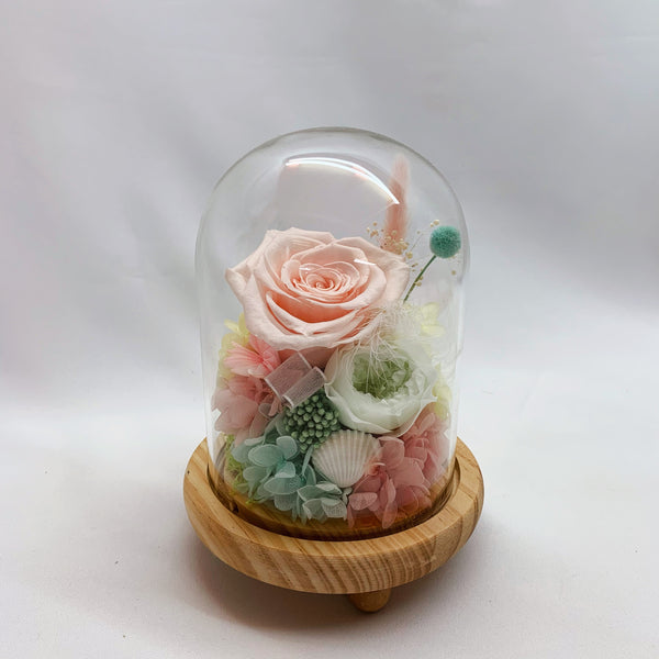 Glass Dome - Gentle Touch