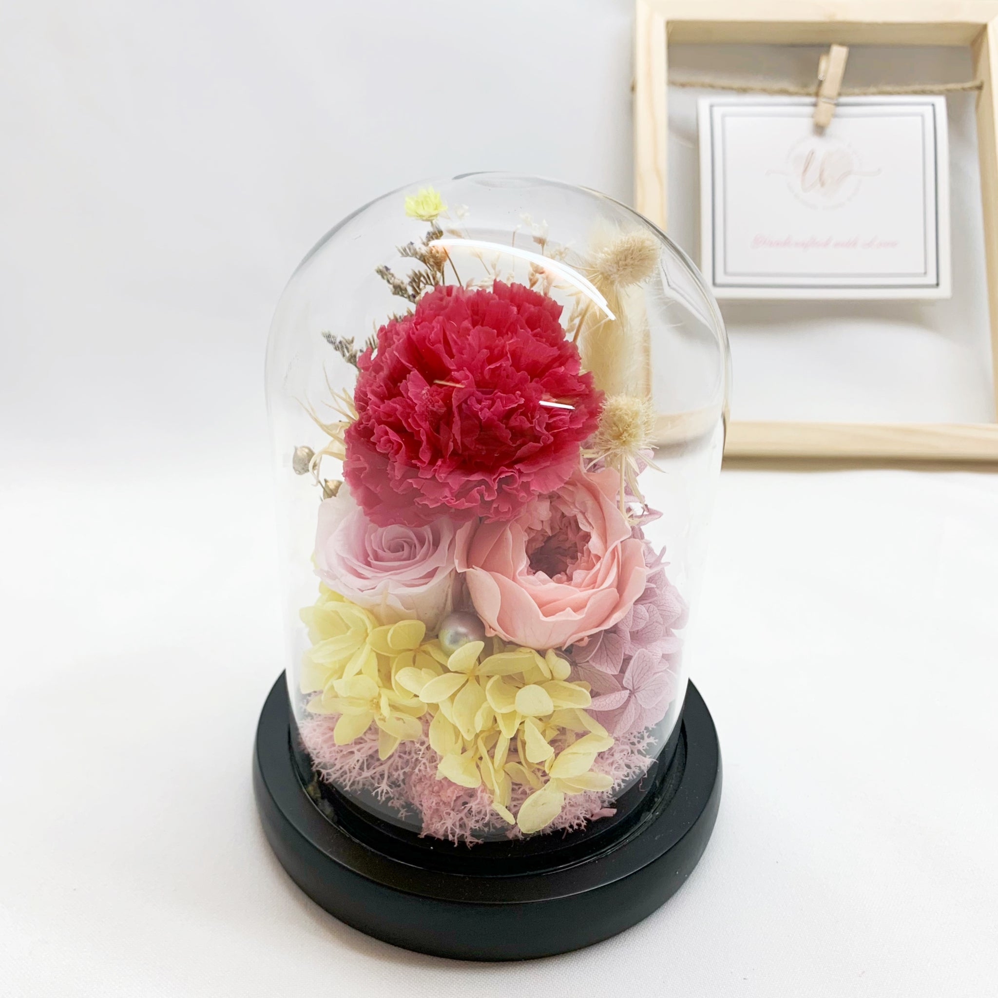 Glass Dome - Magenta Carnation with Pink Roses