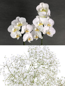 Customised Bridal Bouquet - Minimalist