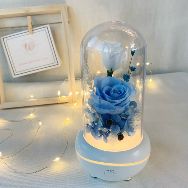 Essential Oil Diffuser - Baby Blue