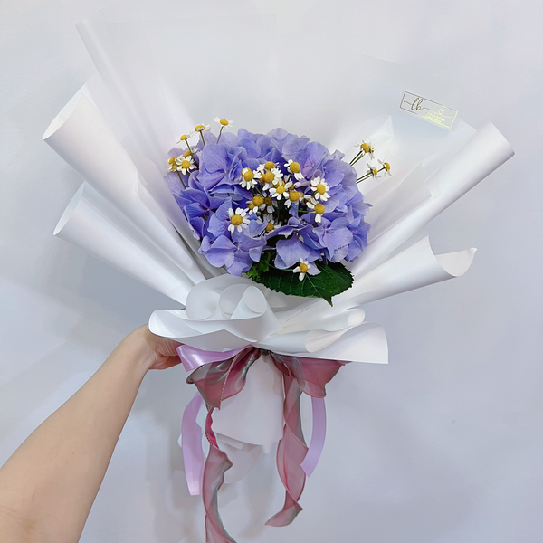 Fresh Bouquet - Hydrangea with Daisy