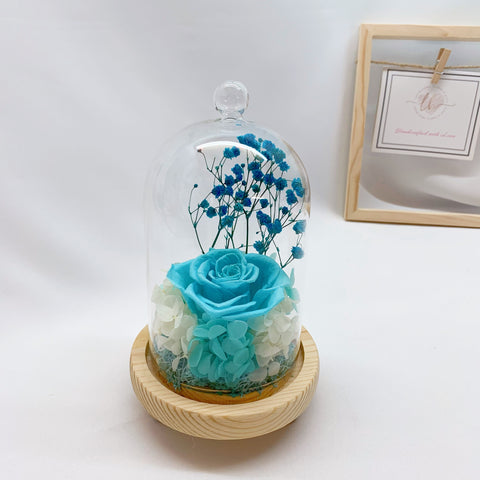 Glass Dome - Only One (Tiffany Blue)