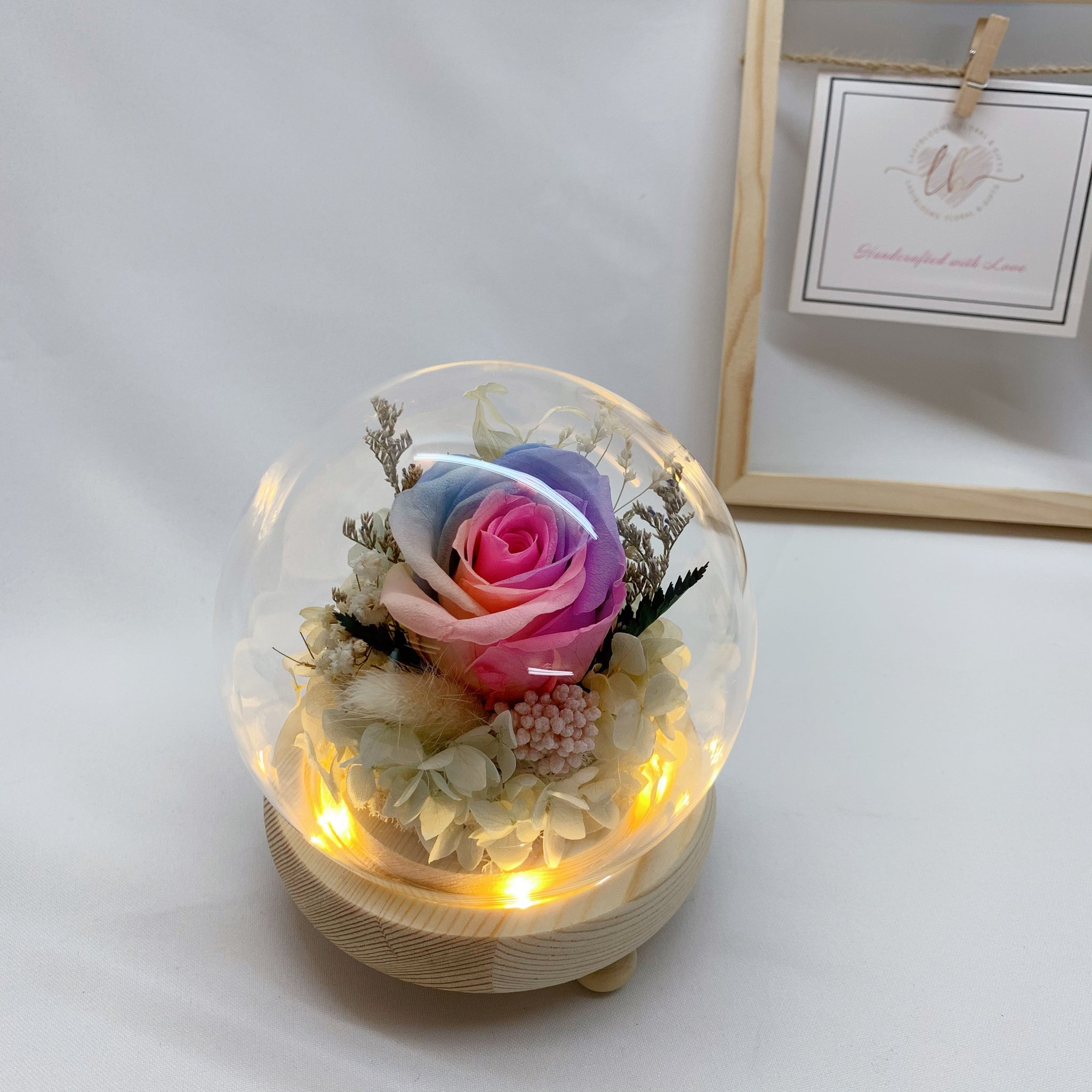 Rainbow Rose in Sphere Dome