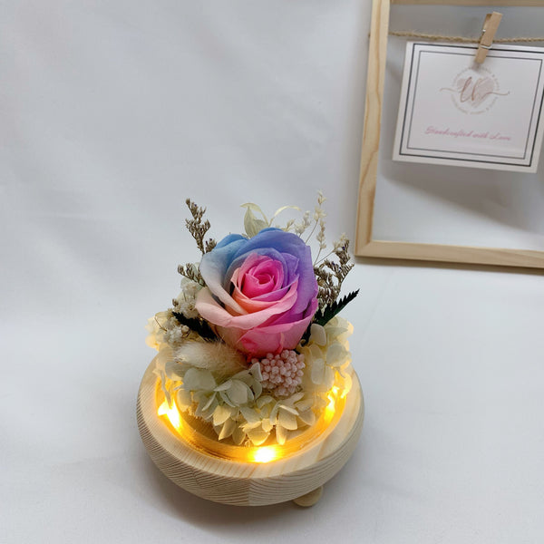 Rainbow Rose in Sphere Dome