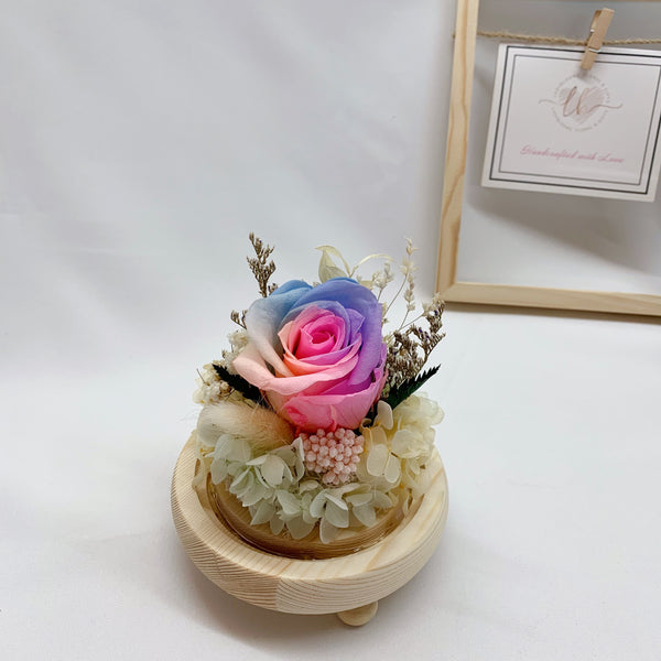 Rainbow Rose in Sphere Dome