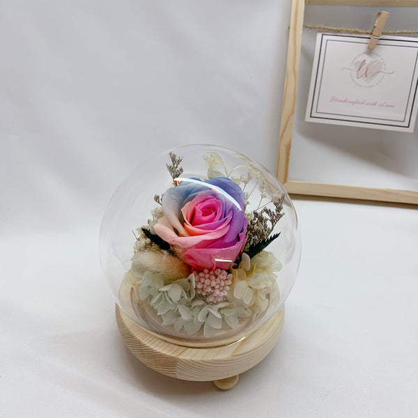 Rainbow Rose in Sphere Dome