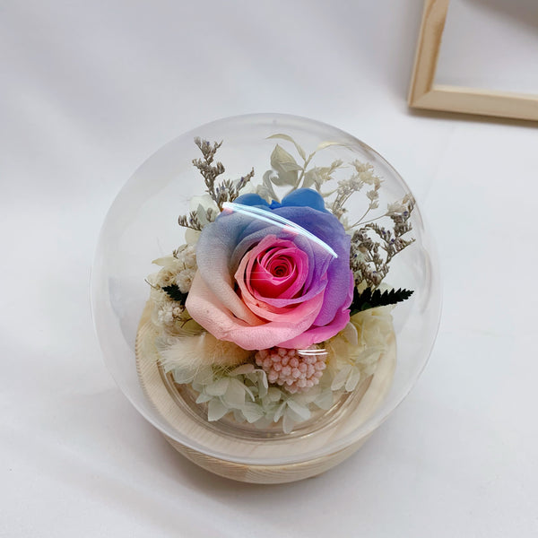 Rainbow Rose in Sphere Dome