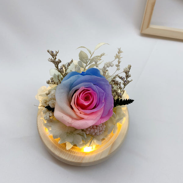 Rainbow Rose in Sphere Dome