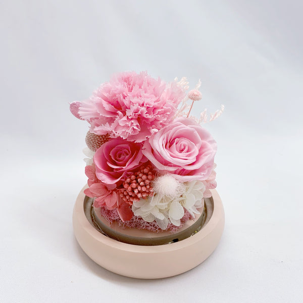 Glass Dome - Pink Carnation