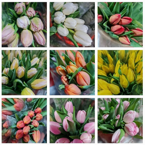 Tulips Bridal Bouquet
