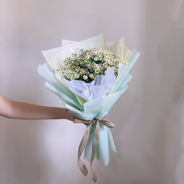 Summer Breeze - Fresh Daisy